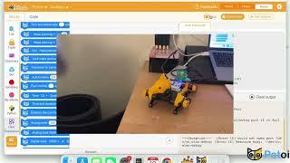 Introduction to Bittle Robot Dog Family | Petoi Coding Blocks Robotics Curriculum 01 | PetoiCamp