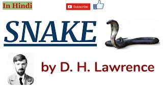 Snake by D. H. Lawrence - Summary and Line by Line Explanation in Hindi