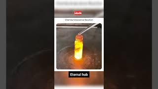 Chemiluminescence reaction ||ETERNAL HUB || #shorts #science #eternalhub #sciencehub #naturalscience