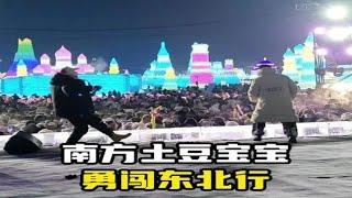 盘点南方小土豆勇闯哈尔滨，感受到东北的热情没有？马铃薯公主