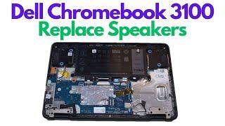 Dell Chromebook 3100 - How To Replace Speakers