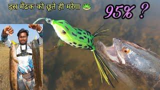 ठंडी में हल्की सी अटैक पर भी मरेगा मरल मछली। Snakehead fishing in winter| snakehead fishing in India