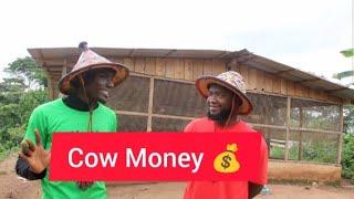 Profitable Farming: I Made Over Gh 200,000.00 From Selling My Cattle (C.E.O OF S.T.D FARMS)