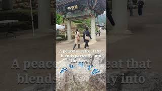 Korean Temple- Jingwansa   #KoreanTemple #Jingwansa #TempleStay #HiddenGemsKorea #koreanCulture