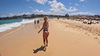 Sydney's Incredible Beaches: A Tour of Paradise