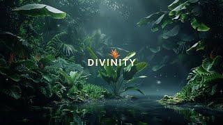 Divinity: Deep Sleep, Meditation, Study Music