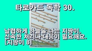 타로카드 독학 30. 지팡이(완즈)8. 날렵하게 하늘을 나는 지팡이, 신속한 처리나 대응이 필요해요. WANDS 8