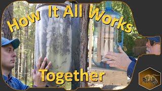Bottle-to-Bottle Honey Production | Contactless Beekeeping | End-to-End