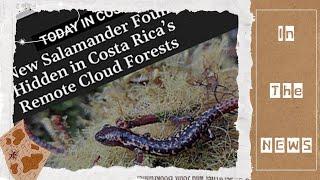 New Species Discovered in Costa Rica! | Salamanders in the News |