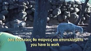 Let’s listen to Parashos | Pocket Money