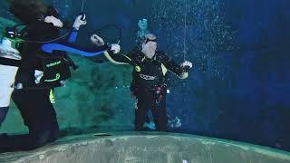 Dive4Live 22.12.24 TG02