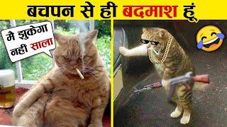 इन जानवरों से पंगा ना बाबा ना .... Funny Animals Video 2022 (Part-6)