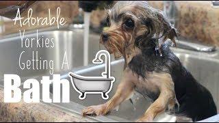 Our Bath Time Routine