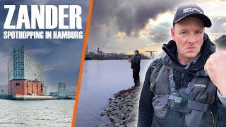 Zander-Spots in Hamburg mit Christian Wieneke erkunden!