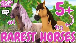 5+ RAREST HORSES TO HAVE IN STAR STABLE! 