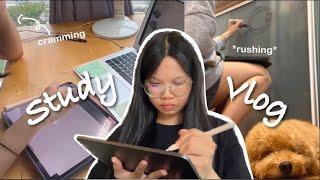 Study vlog: university selection test (UVA psychology course), cramming, high on coffee, taking test