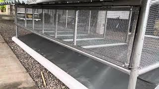 Our New Rabbit Cage Design - Global Food Providers