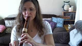 Flower Drum Song (Chinese Tradtional) Mollenhauer Dream Edition Treble (alto) Recorder in Plum wood