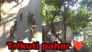 Trikut Pahar | त्रिकूट पहाड़ Deoghar || Bandar se rahe sawdhan - Explore Jharkhand #trikutpahar  ||