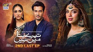 Tere Bina Mein Nahi | 2nd Last Episode | 16th August 2023 (English Subtitles) ARY Digital