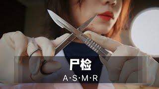 【中文ASMR】法医扮演，尸检解剖，大量视觉触发，法医姐姐为你带来不一样的体验