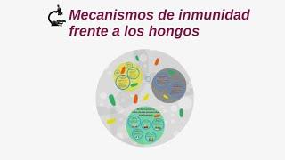 INMUNOLOGÍA - MICOLOGÍA