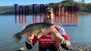 TOP 5 SEÑUELOS para la PESCA del BLACK BASS en INVIERNO (LOS PONEMOS A PRUEBA)