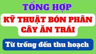 Tổng hợp kỹ thuật bón phân cây ăn trái từ trồng đến thu hoạch | Xác định thời điểm cây cần phân bón