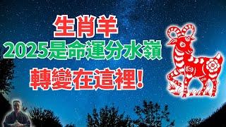 生肖羊，2025年是你的分水嶺，命運軌跡將改變，人生迎來大轉折！發生什麼？速看！ #2024年生肖羊運勢 #2024年生肖羊運程 #2024年屬羊運勢 #屬羊運程