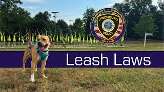 Leash Laws 2024