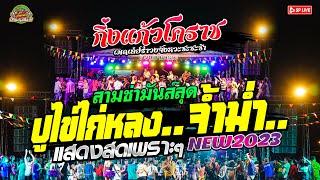 สามช่ามันส์โจ๊ะๆ‼️เต้นมันส์กระจาย " ปูไข่ไก่หลง+จ้ำม่ำเสียจริง" วงกิ่งแก้วโคราชNEW2023