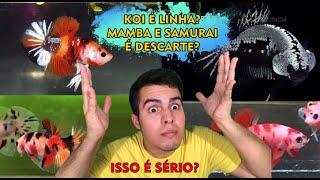 Koi é Linha? Mamba e Samurai são descartes? [TRETA ON]