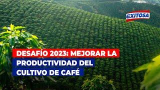 Desafío 2023: Mejorar la productividad del cultivo de café