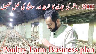 Broiler Chicken farming in Pakistan | 3000 broiler feasibility | Poultry farm business plan