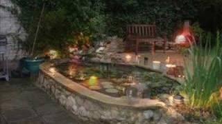 The Pond By Day And night