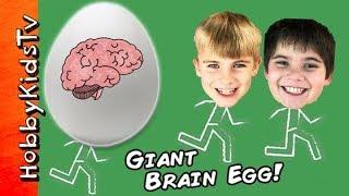 Giant BRAIN Surprise Egg with Learning Toys