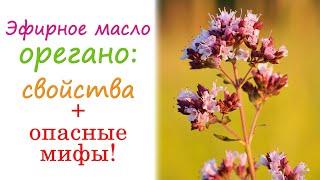 Эфирное масло орегано (душица): свойства и мифы (подробный разбор)