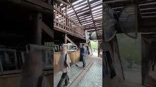 ZABROSHKA/реинкарнация
