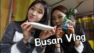 부산 여행 VLOG ㅣ 해운대 찐맛집 , 여행 코스,  부산 투어