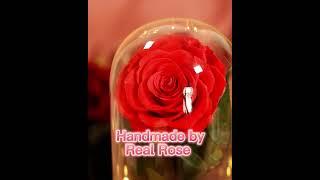 Forever Enchanted Rose in Glass Dome Perfect Mother's Day Gift 2024.