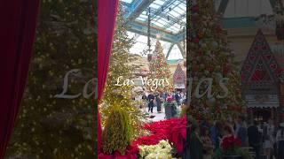 It's Christmastime in Las Vegas! #christmas #vegas #bellagio #holidays #weekendvlog #merrychristmas