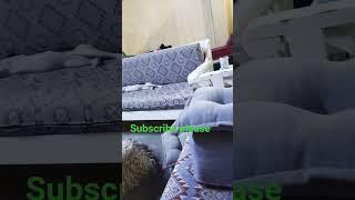 #youtubeshorts #subscribe please #ranjith Kumar