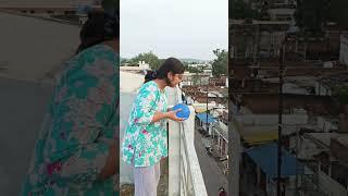 cute girl throw balloon #viralshorts #shorts #lovely #shortsfeed #jaishreesiyaramji