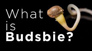 What is Budsbie and Why?