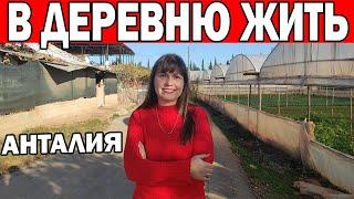 ЖИЗНЬ В ДЕРЕВНЕ ТУРЦИЯ АНТАЛИЯ/ Дешёвый частный дом в Анталии/ Реально ли купить?/ Район Аксу