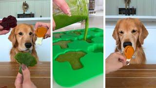 How to Make Healthy Dog Treats ASMR