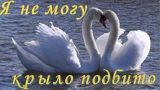 Лебединая верность.  слов: Владимир. Захаров, Смонтировал ролик Максюта Владимир. г. Белая Церковь.