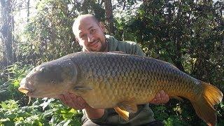 Episode 124 Back Of The Landing Net Carp Fishing Blog - Farlows Lake - Colne Valley Carp