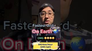 Fastest bird on Earth || 240 mph (390 kmph) || OMG  #facts #omg #omgfacts #shorts  #birds #funfact