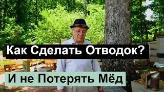 Пасека # 75 Как Сделать Отводок и не Потерять Мёд | Пчеловодство для начинающих